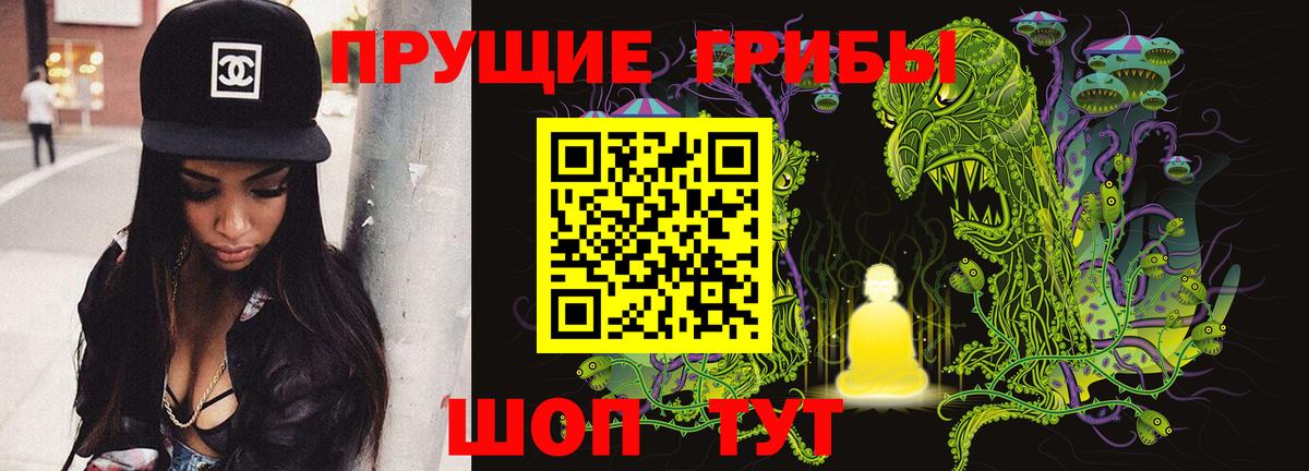 Псилоцибиновые грибы Psilocybine cubensis Рассказово